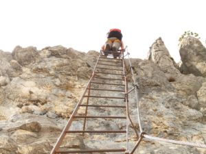 ladder