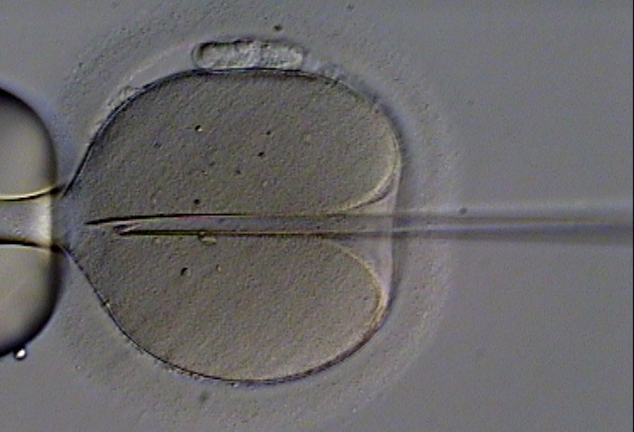 lab2