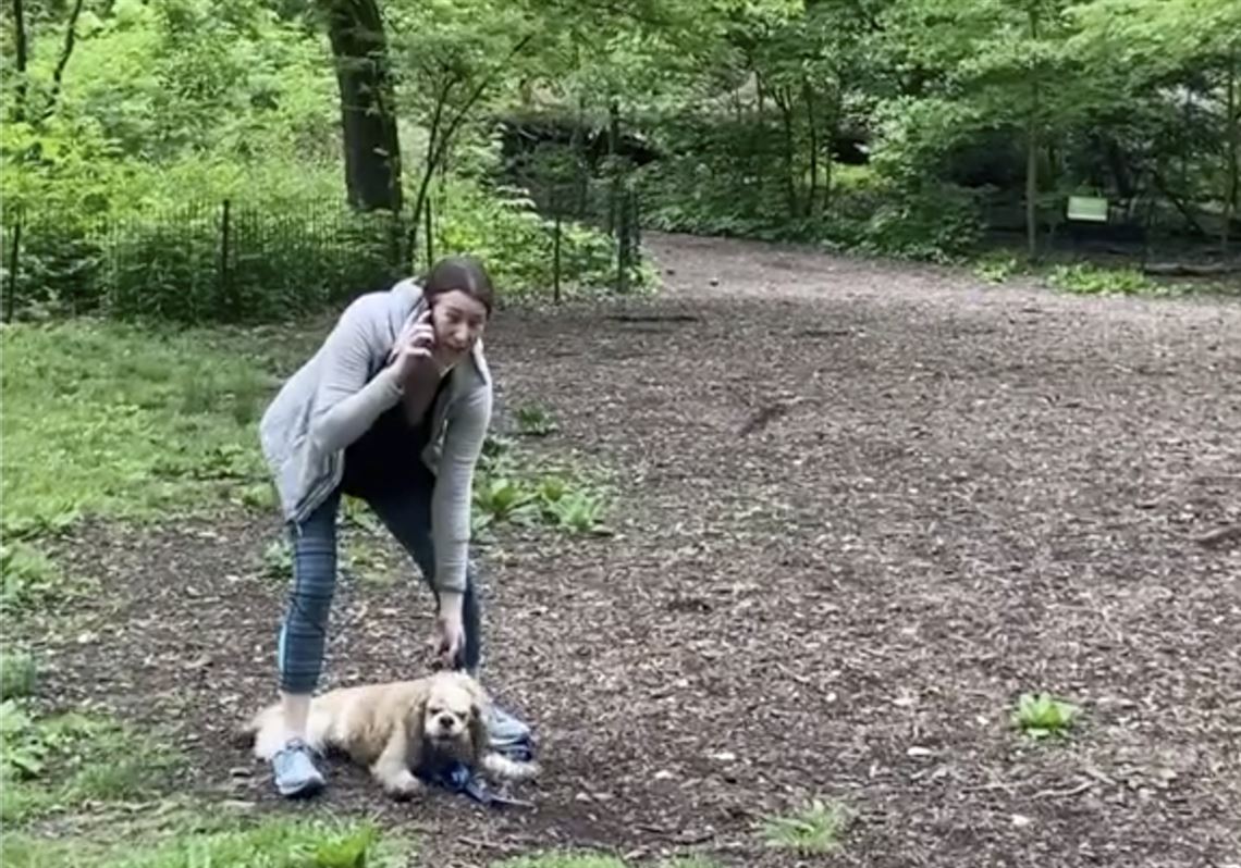 amy cooper calling police in central park