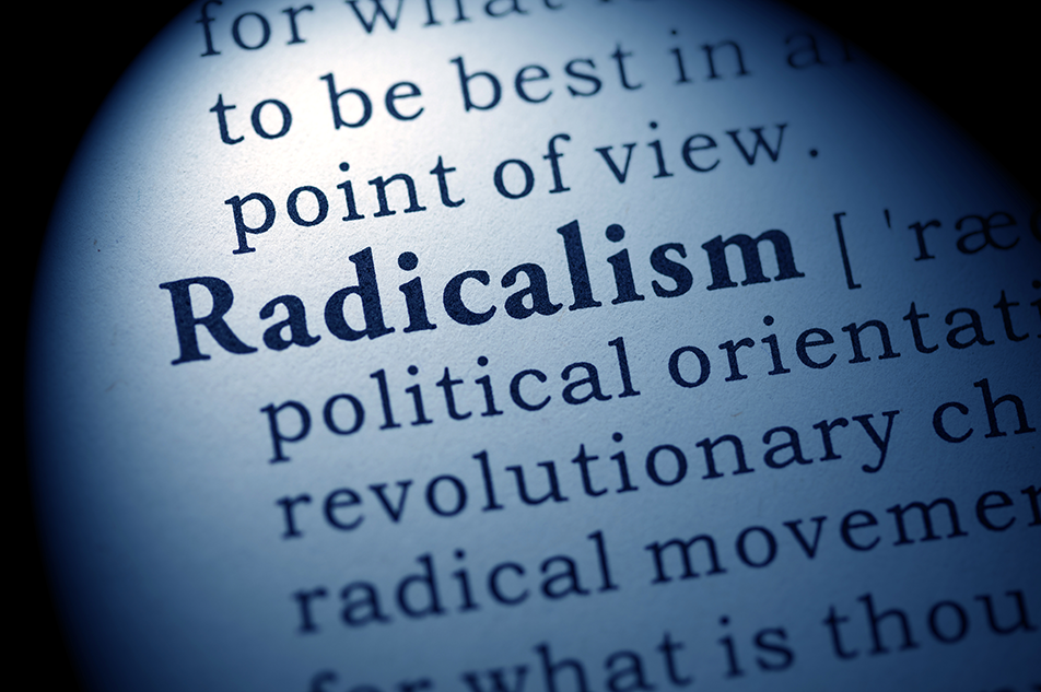 the word radicalism and its definition a dictionary